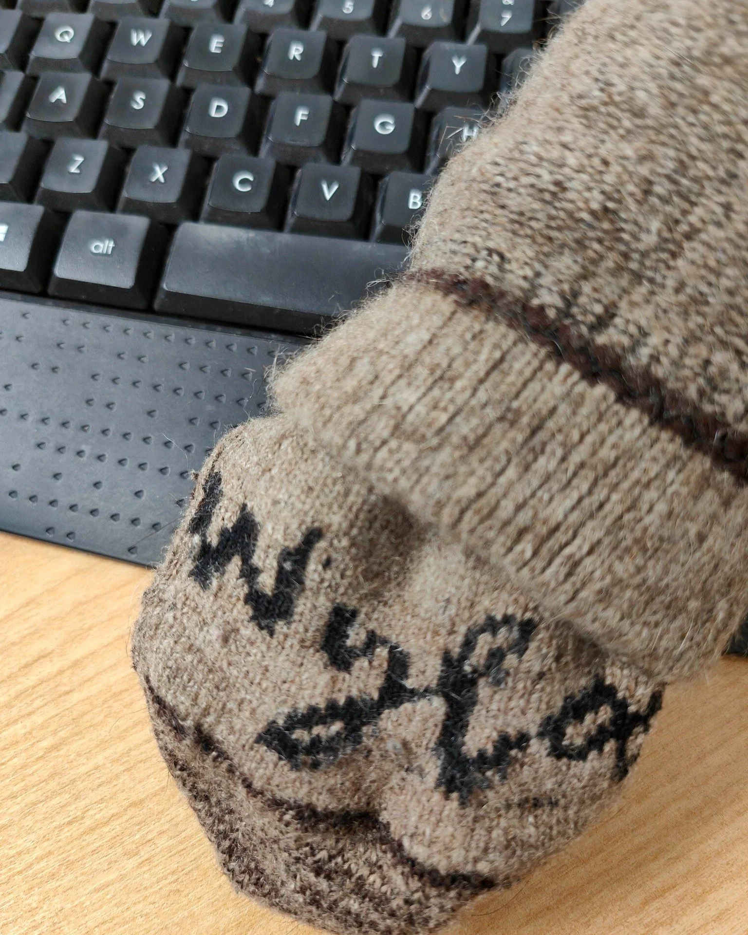 I keep an emergency pair of Wyld socks at work...

I learnt this the hard way.

Every time I brought my favourite pair of Wyld Casual Socks home, they'd mysteriously disappear.

Turns out I live with two very enthusiastic sock collectors (otherwise k