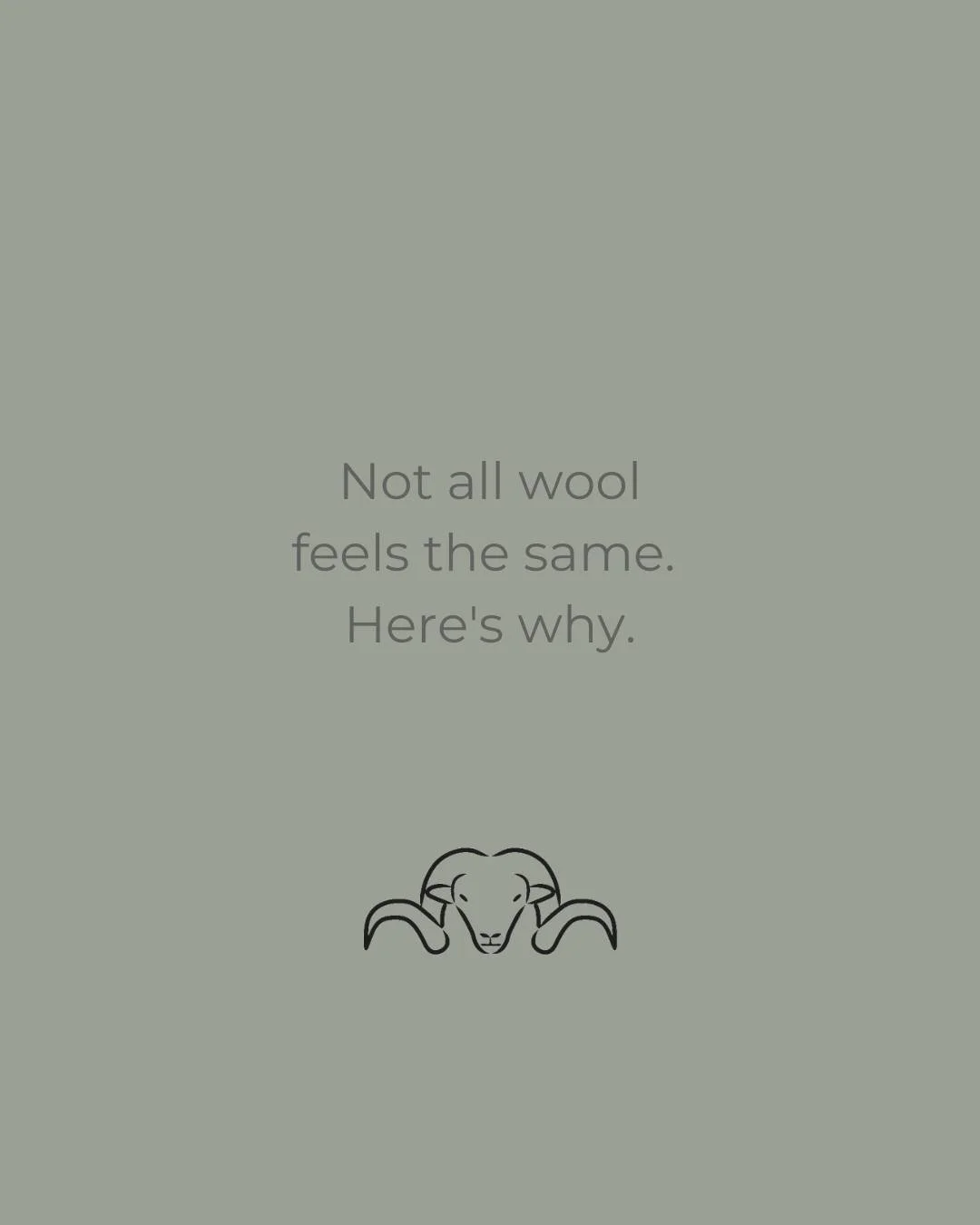 "Wool is wool."

It's something we hear quite often.

But just like coffee beans or grapes, not all wool is the same.

The breed, the environment, the fibre blend and how it's processed all influence how a garment feels and performs.

That'