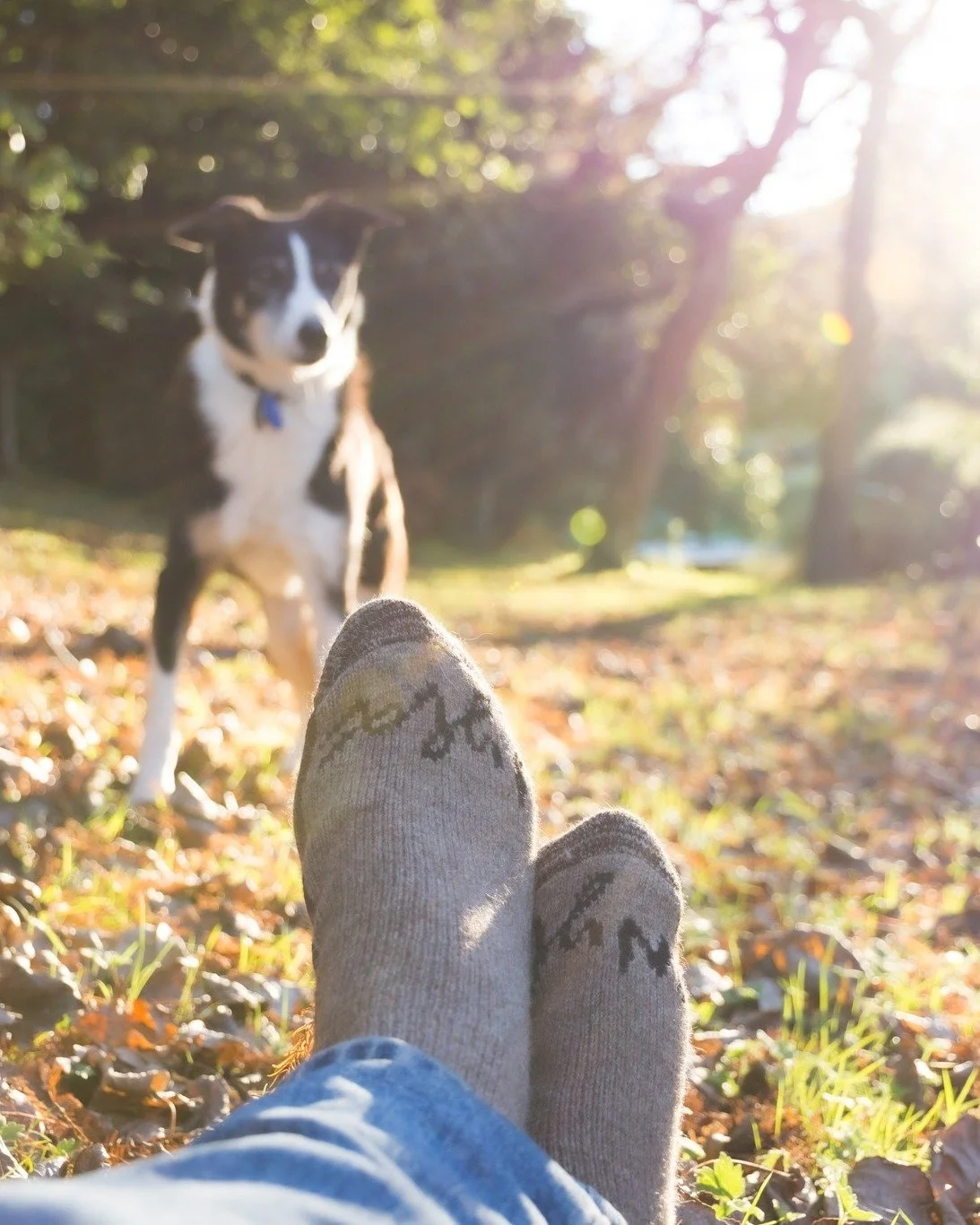 For dads of all walks of life. 🧦

The dad who&rsquo;s happiest on the track.
The dad who&rsquo;s always outside with the dog.
The dad who spends Saturday morning in his boots.
The dad who&rsquo;d rather be by the fire.
And the dad who somehow manage