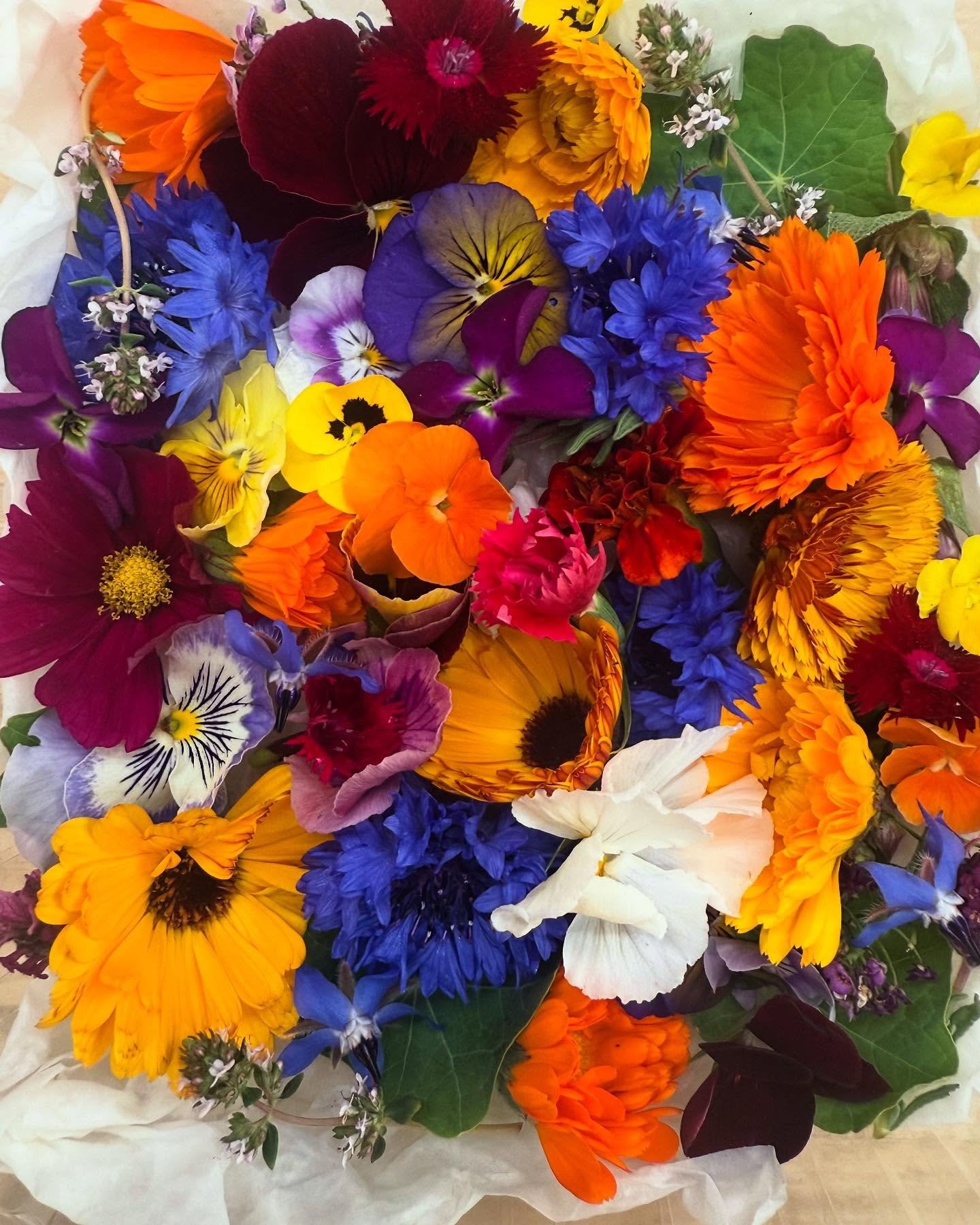 Shhhhhhh….. just did a back alley deal with @ittybittyacresfarm for the goods. <<<<now offering FARM FRESH EGGS and Itty Bitty BLOOMS edible flowers on your salads etc…>>>>>>> you are so welcome. #fresht