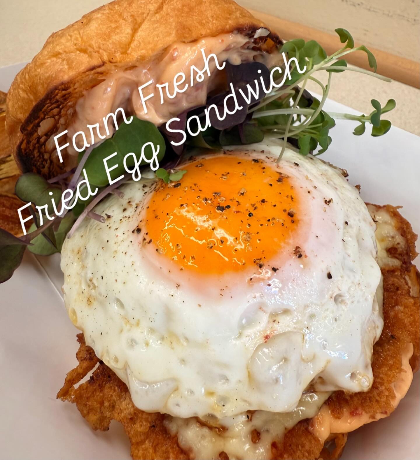 Your favorite sandwich just got better!! Now with Farm Fresh Eggs from @ittybittyacresfarm #sohappy #sodelicious #freshtodef #freshyfreshfresh #happyhens #fluffybutthut