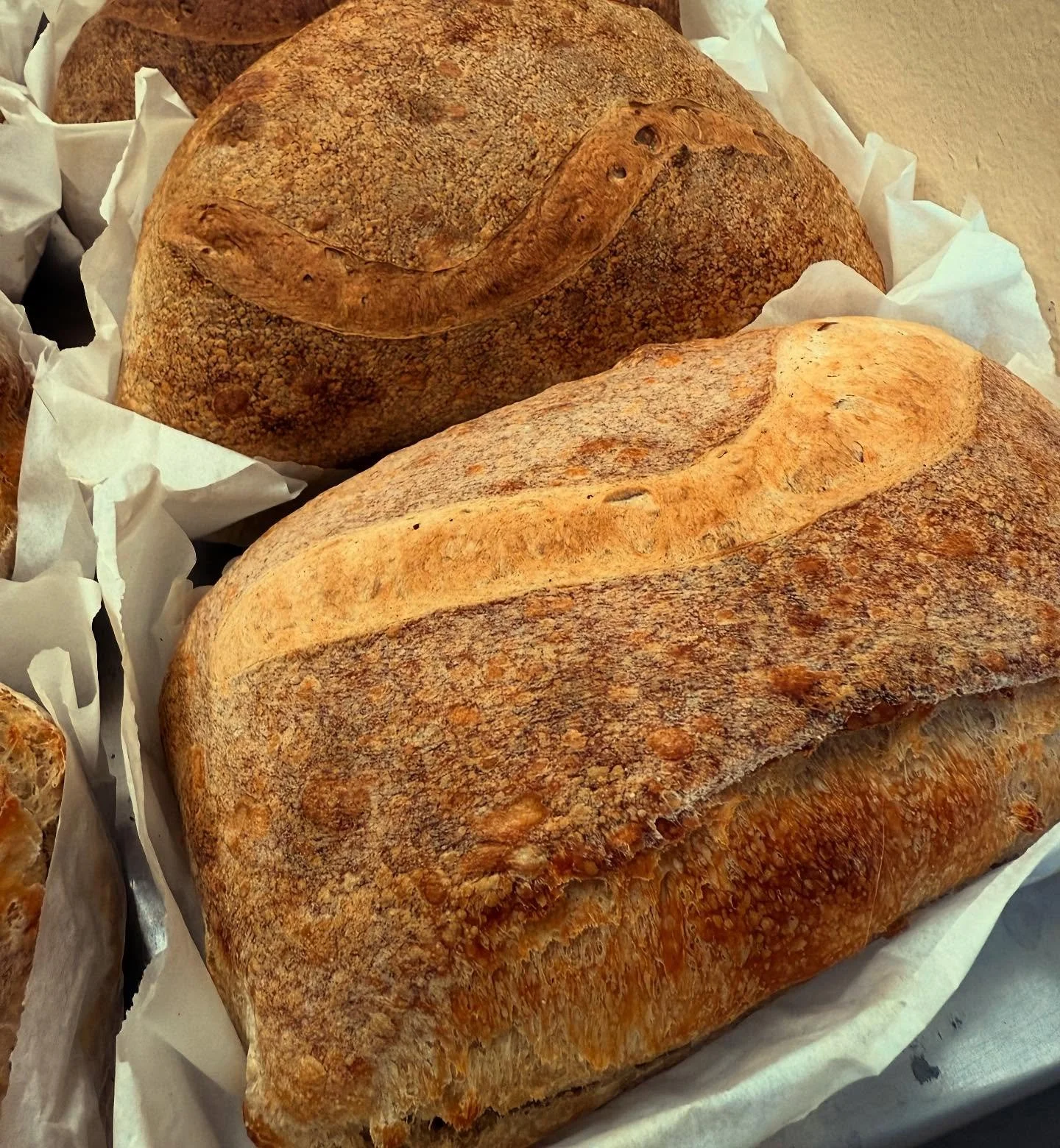 Loaf of Love. @lousloafs