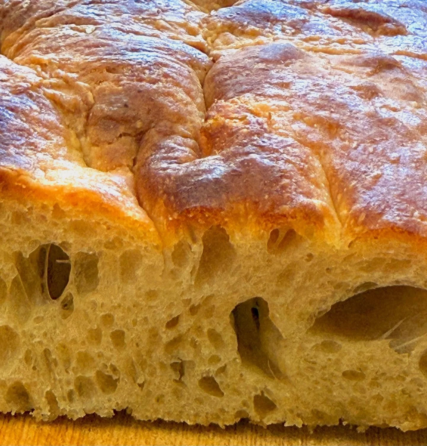 NEW!! @lousloafs Focaccia for our Steak Sandwich and Boss B Salads. All those bubbles make the perfect place to hold all the @roguecreamery Smokey Blue Cheese Mayo… etc. #sopitup #chowitdown #getitin #happymenuaddition #happyluncheonette