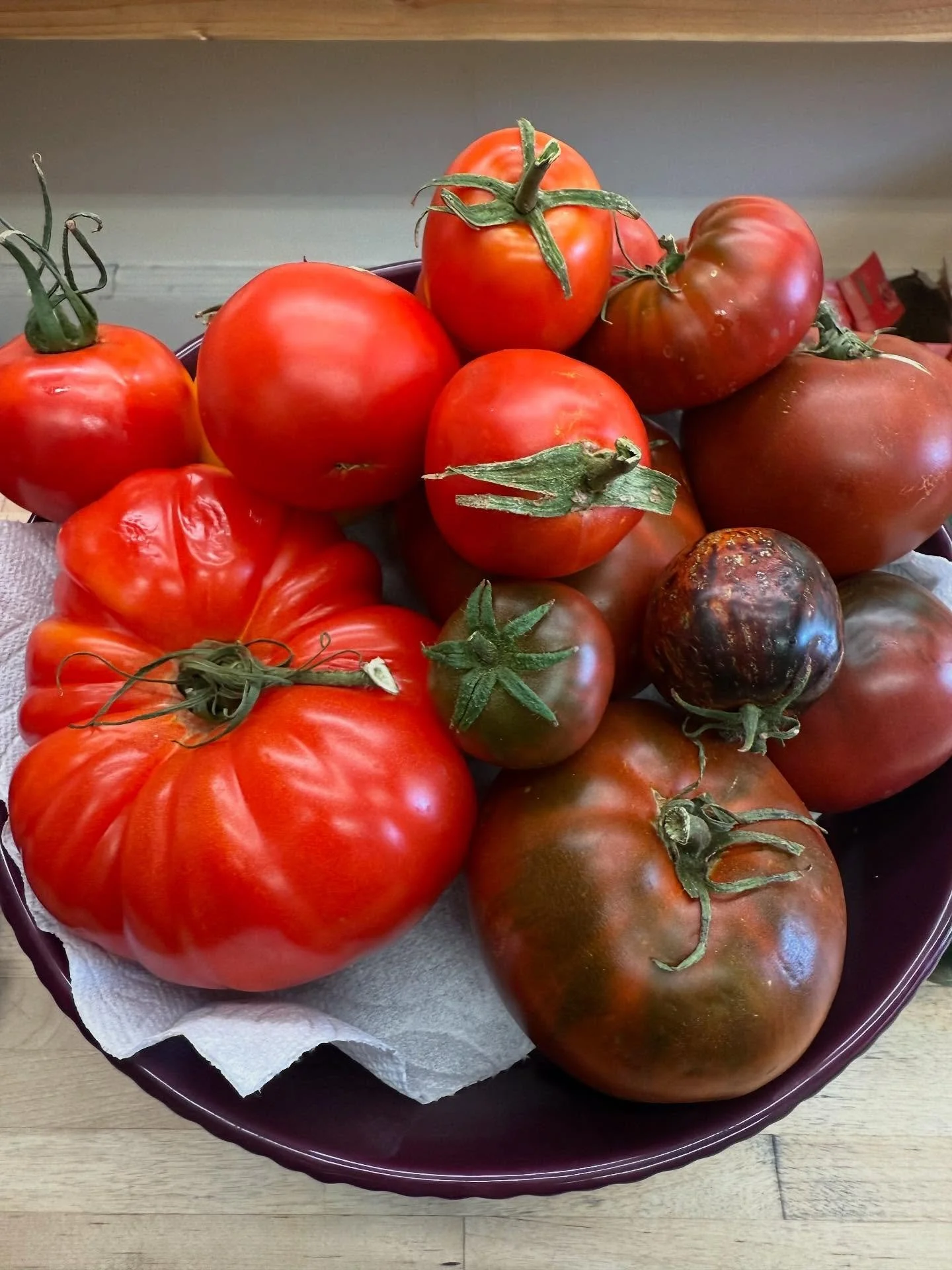 Farm Fresh Abundance from @ittybittyacres this fine day! Come get your BGT on. #tomatoseason #BLT #bacon #happytoms #happyluncheonette
