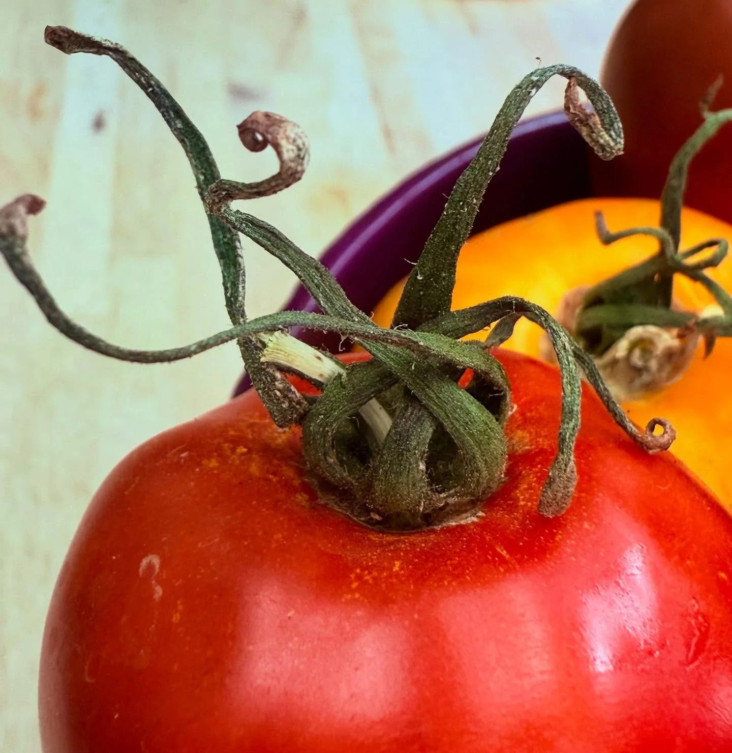 Farm fresh produce is different. Like art. For your mouth. #local #organic #delicious #happyfriday #happyluncheonette
