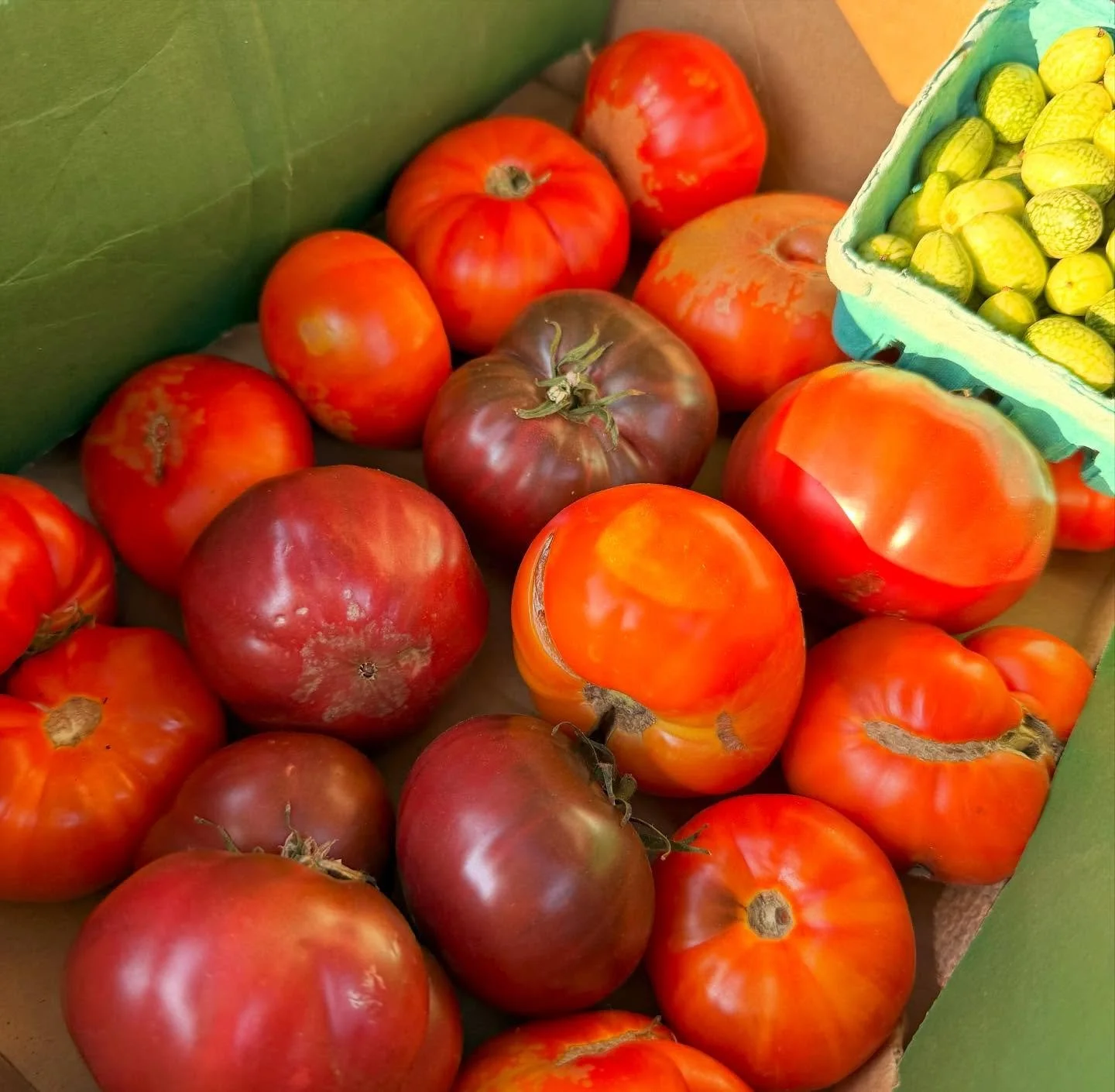 @rvgrowersmarket  was SO GOOD to us this morning! Thank you @wanderingrootsfarm for offering an insanely great deal on heirlooms.  Come get that BGT TODAY! #happythursday  #happyautumn #happyluncheonette