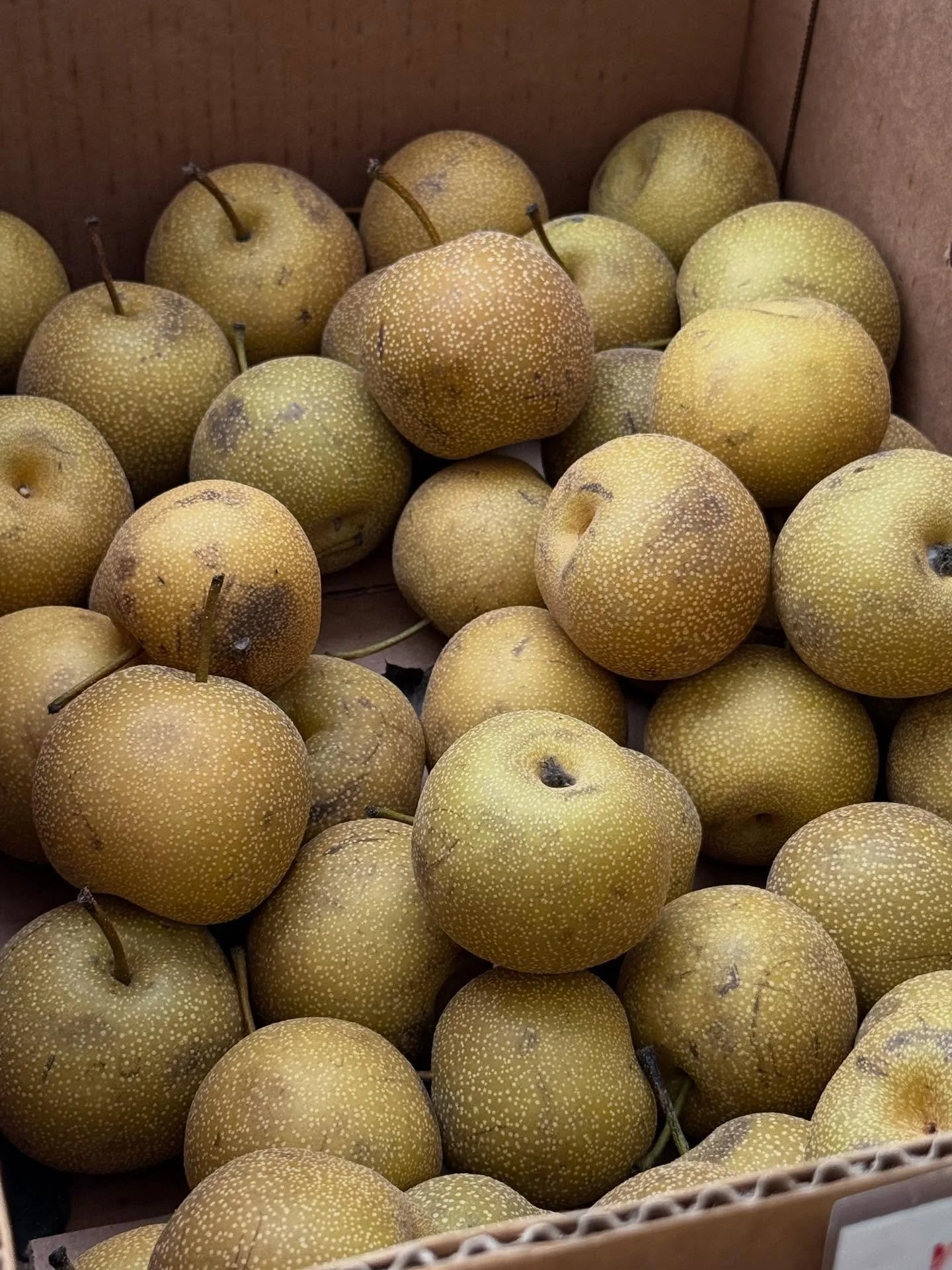 #latergram so busy yesterday we didn&rsquo;t get a chance to post. It was frosty. It was beautiful!  Thank you @rvgrowersmarket for another opportunity to buy the best local stuffs!