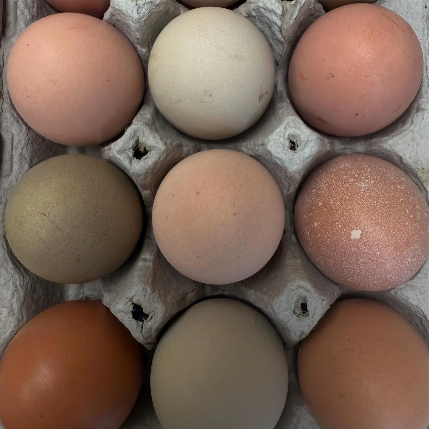 @ittybittyacresfarm for THE BEST EGGS. 
Where do you get your eggs? #local #organic #delicious #happyluncheonette