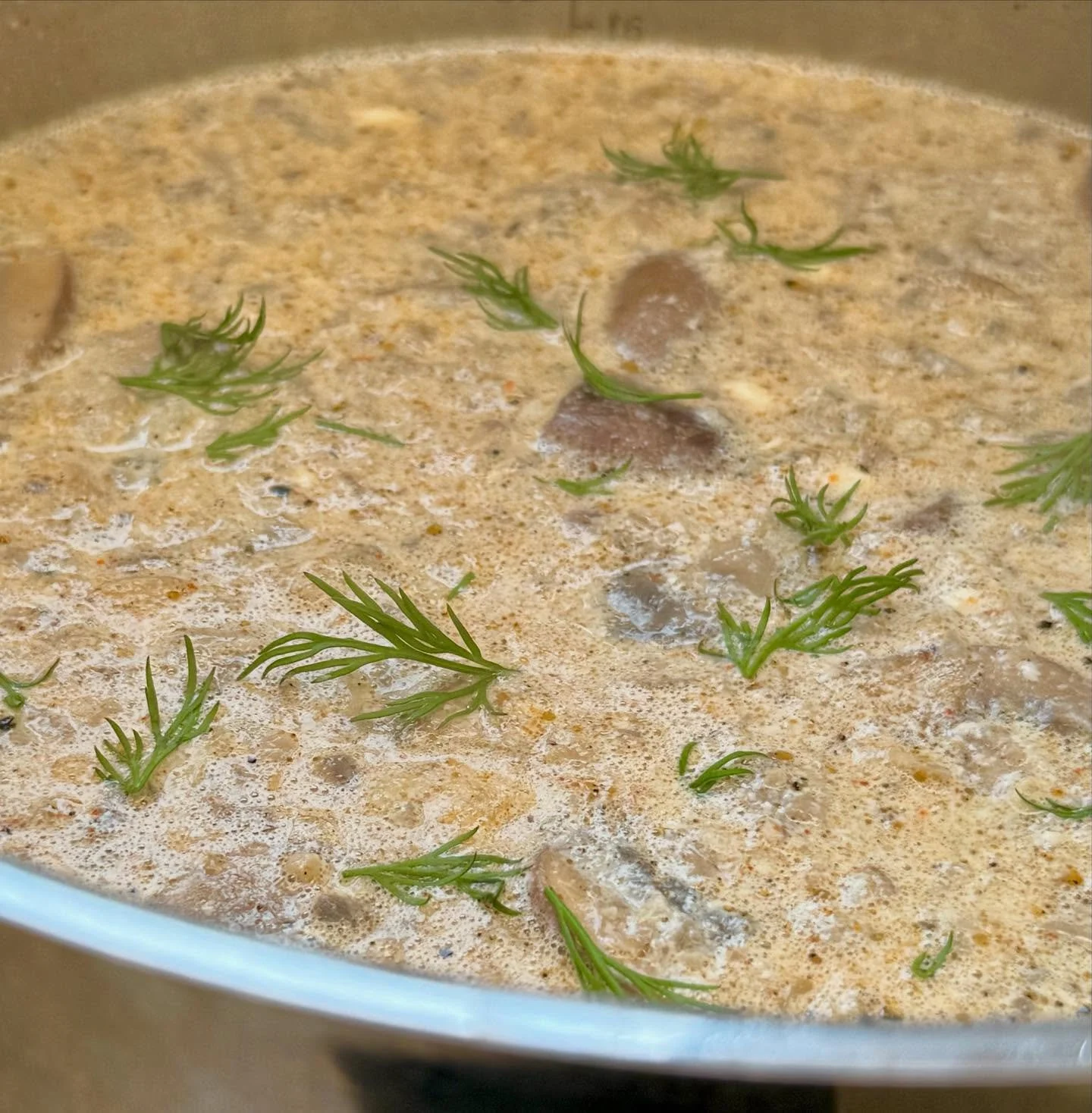 &ldquo;Hungarian&rdquo; Mushroom SOUP! 🍄&zwj;🟫 What is better than hot soup on a cold, foggy day? Served with a toasty buttered sourdough roll ala @lousloafs for a completely wonderful lunch! #local #organic #delicious #happytuesday #happyluncheone
