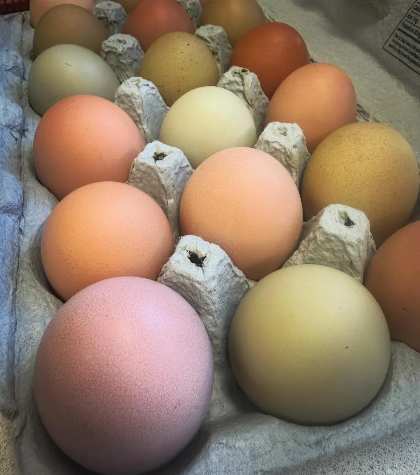 Have you had our Fried Egg Sandwich? These ovum are egg-ceptional!! 😁#sorrynotsorry #happyhens #fluffybutthut at @ittybittyacresfarm in Sam&rsquo;s Valley. Only the BEST at #happyluncheonette