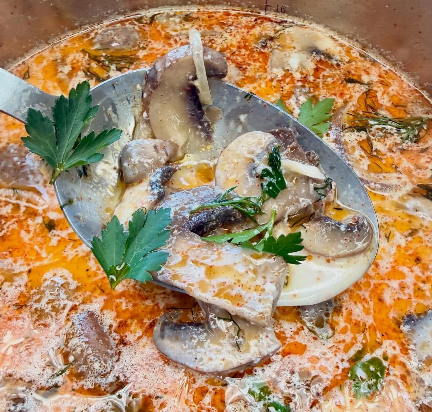 Hungarian Chicken Mushroom SOUP this week! So goood!! #locallysourced #organic #soupweather #happyhumpday #happyluncheonette