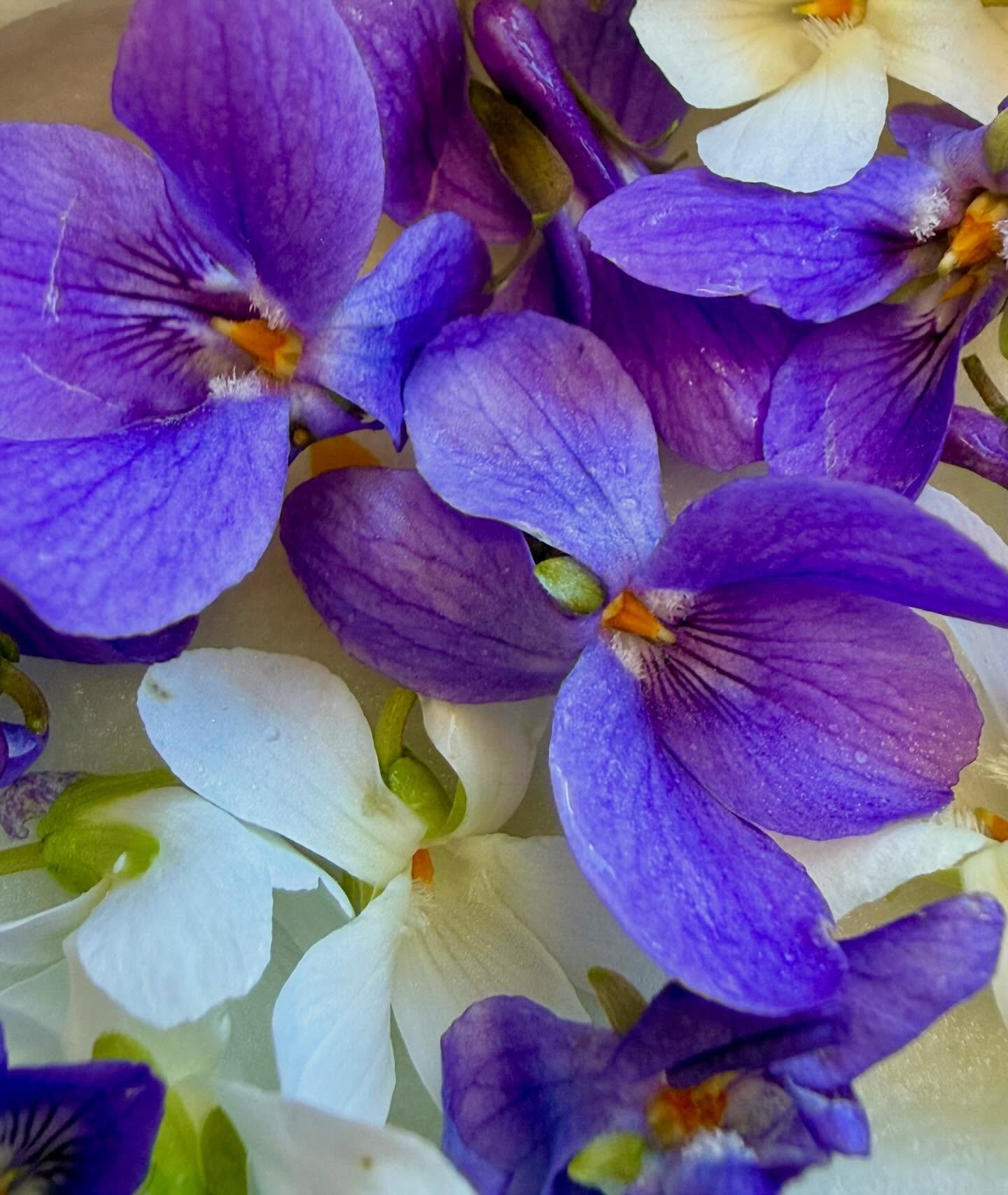 SPRAAANNGGG ME&rsquo;N&rsquo;U. Coming next week. #happyweather #happyseasonchange #happyfoods #localorganicdelicious #happyluncheonette