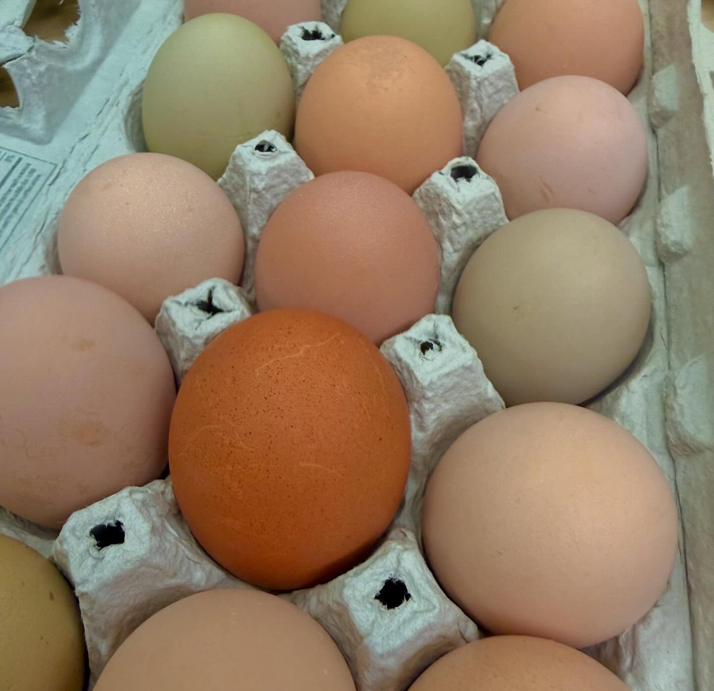 Beyond GRATEFUL that we get to work with such beautiful, highest quality, local, organic ingredients. Tended with LOVE. You can taste it. @ittybittyacresfarm Thank you, thank you!!