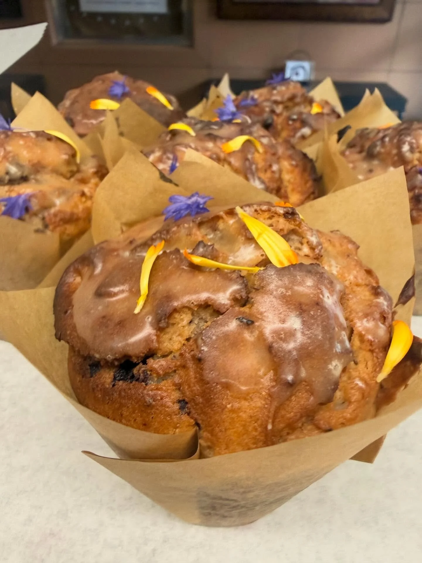 Vanilla Orange w Cran &amp; Wild Blueberry Muffins this morning. Cookies are warm. 
Shop is happy. What are you doing rn?! 
Come get breakfast and lunch. 

#edibleflowers #downtownmedford #mostcharmingboutiqueeatery #happythursday #happyluncheonette