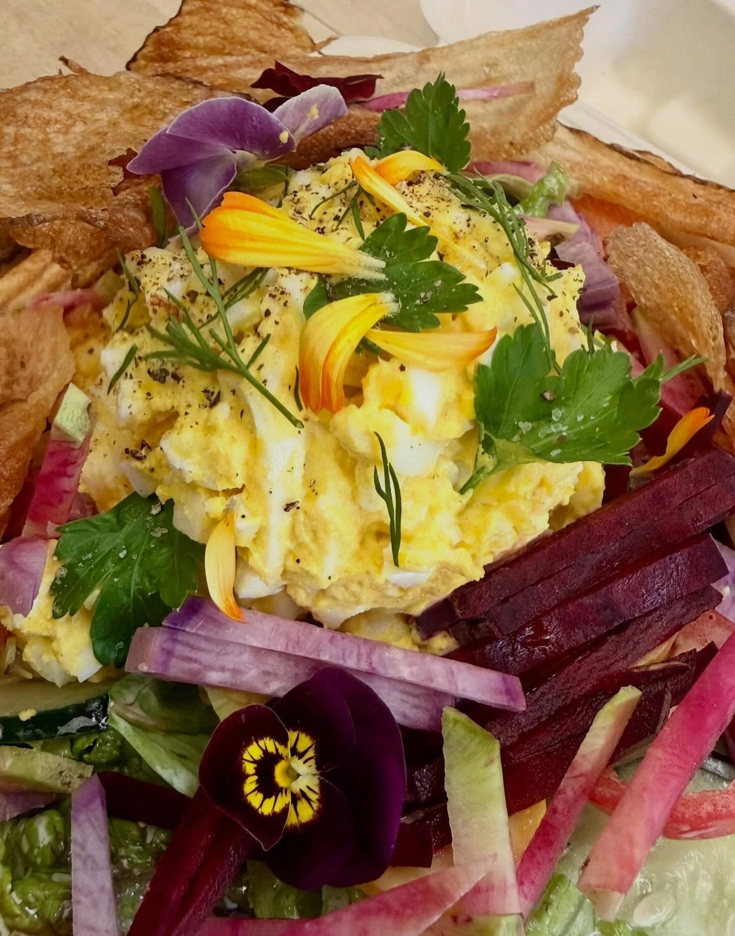 Boss B w Egg Salad, Smokey Blue Cheese and Hand Sliced Potato Chips for Leela! 💕🌷✨ SO GOOD. #greatchoice #eatorganic #eatlocal #wearedelicious #downtownmedford ✨