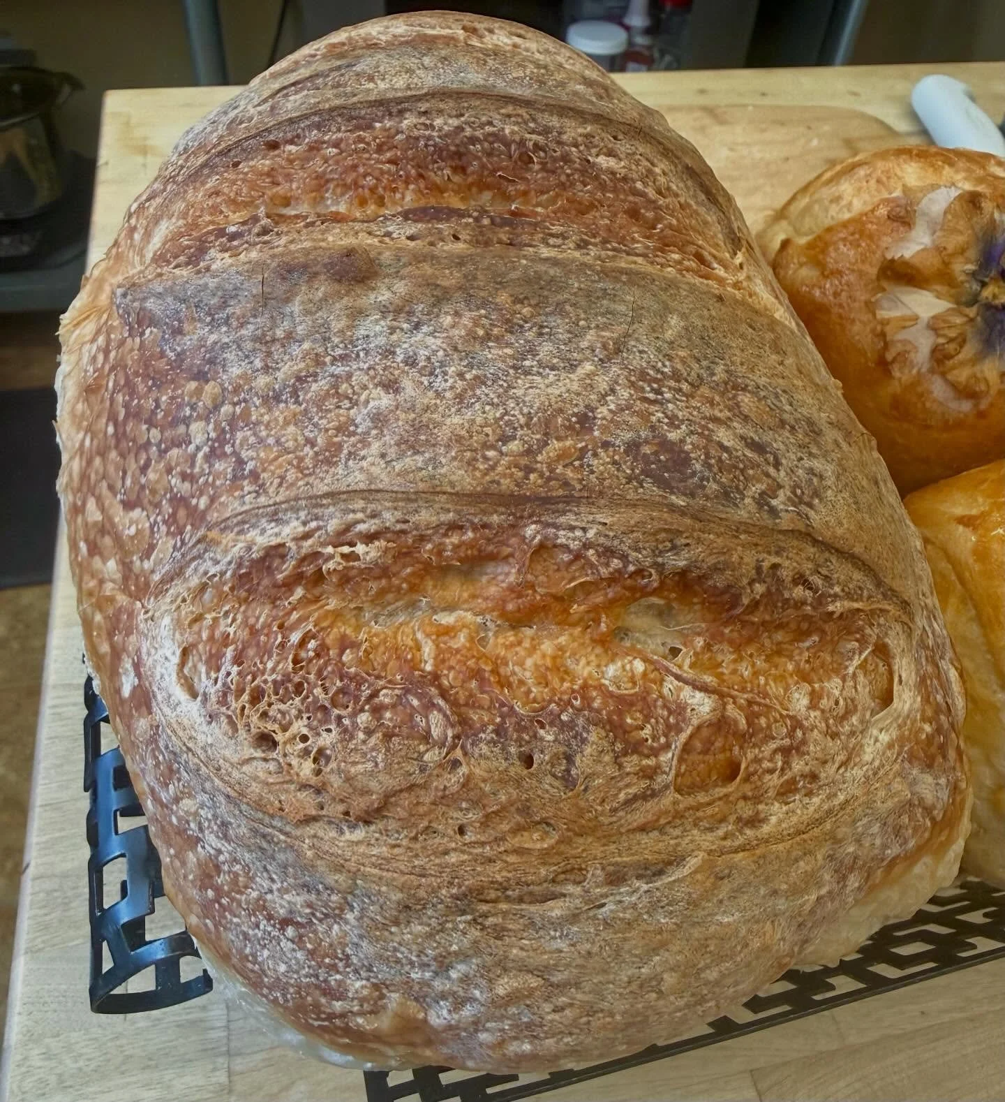 Bread appreciation post&hellip; @lousloafs consistently makes the most delicious, beautiful, organic artisan sourdough breads for us. We love and appreciate you, Lou!! #attitudeofgtatitude #communitylove #whatisasandwich #bestbakeryinsouthernoregon