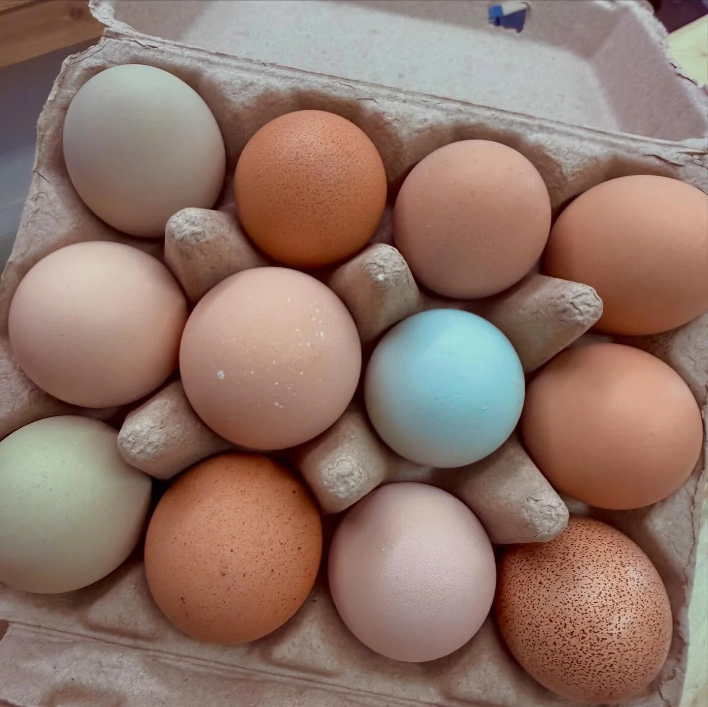 It&rsquo;s like Christmas, every single time!! Thank you @ittybittyacresfarm for supplying the best FARM EGGS in our valley. #eggsaladsandwich #friedeggsandwich #cookies #allthethings #localasfuck