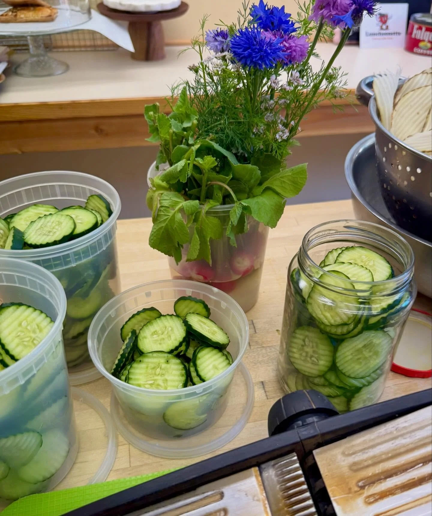 Pickle Day. 🥒
