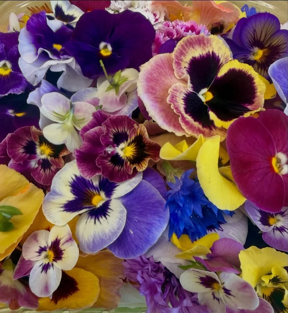 Pure JOY!! 🤩 when @ittybittyacresfarm comes thru w that good good. 😌 #localedibleflowers #farmfresh #eatarainbow #organicdelicious #happyluncheonette
