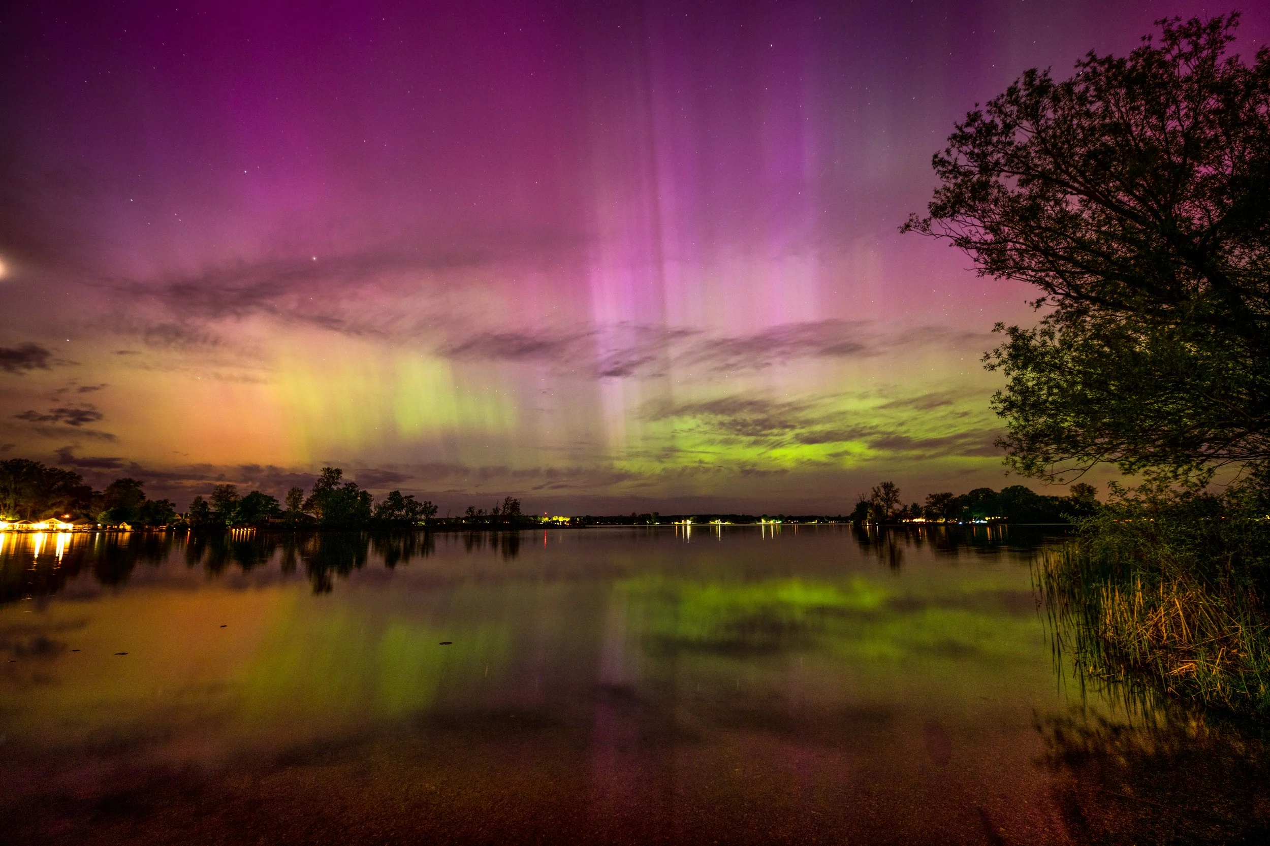 Northern Lights over a lake with silhouetted trees, showing green and purple auroras reflected in the water.