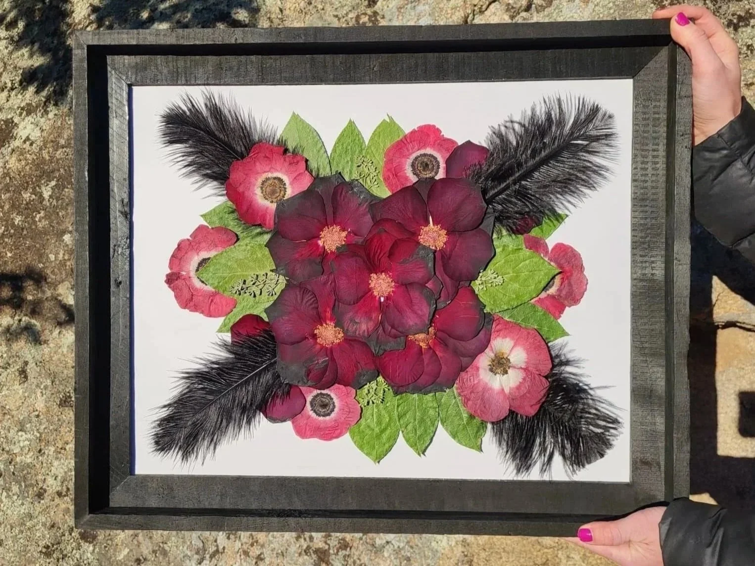 A framed arrangement of pressed flowers with pink, red, and black petals, green leaves, and black feathers.