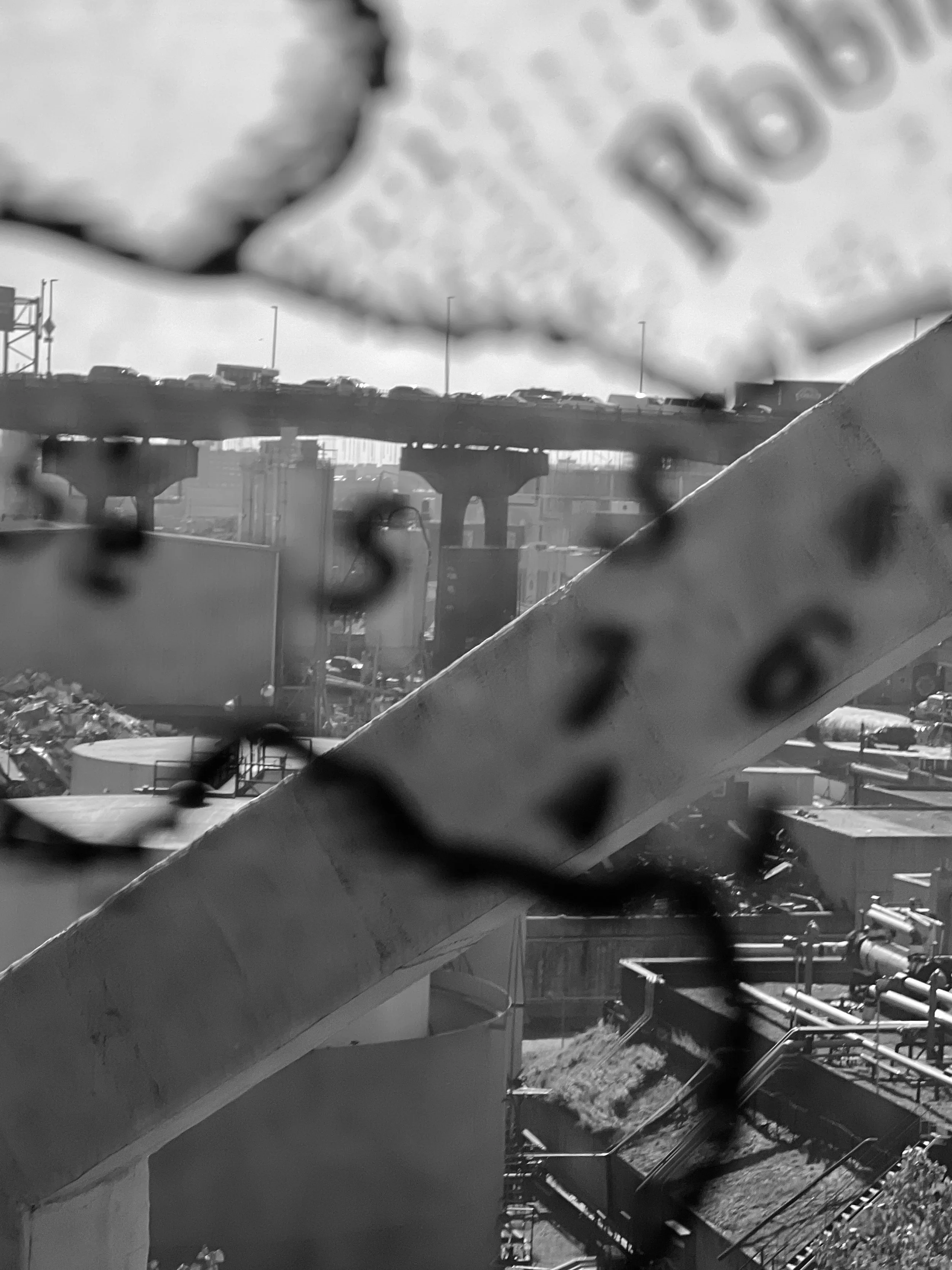 IMG_0941.jpeg