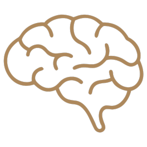 Icon of a human brain