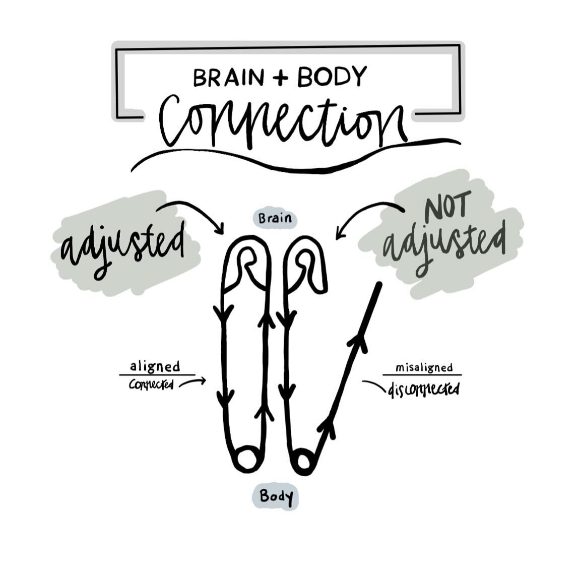 Are you connected ?! 💡

What if your biggest symptom could find function again with a simple act of removing the interference. In our office we strive to support your bodies natural ability to heal by removing any nervous system interference. 

Our 