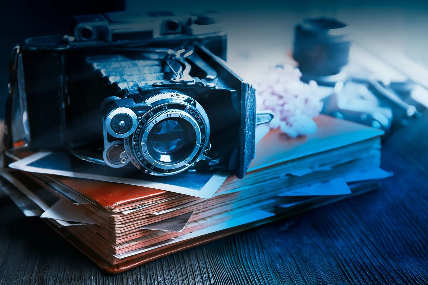 Photography in the Humble, Texas area