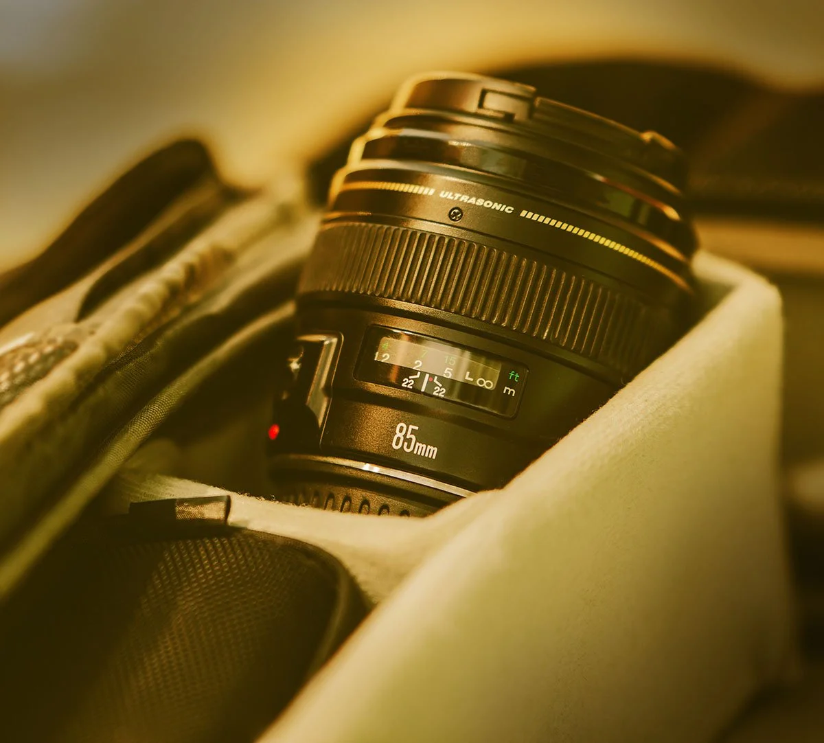 Canon 85mm lens in a camera case