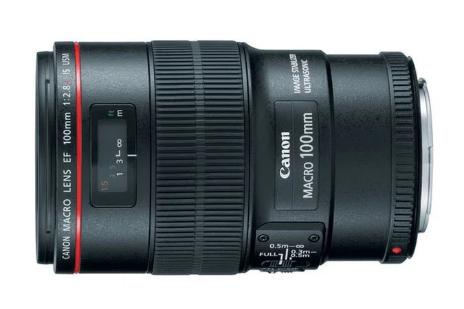 Canon EF 100 mm f/2.8 IS Macro