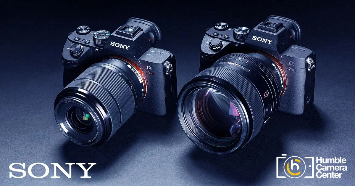 Two Sony Alpha cameras