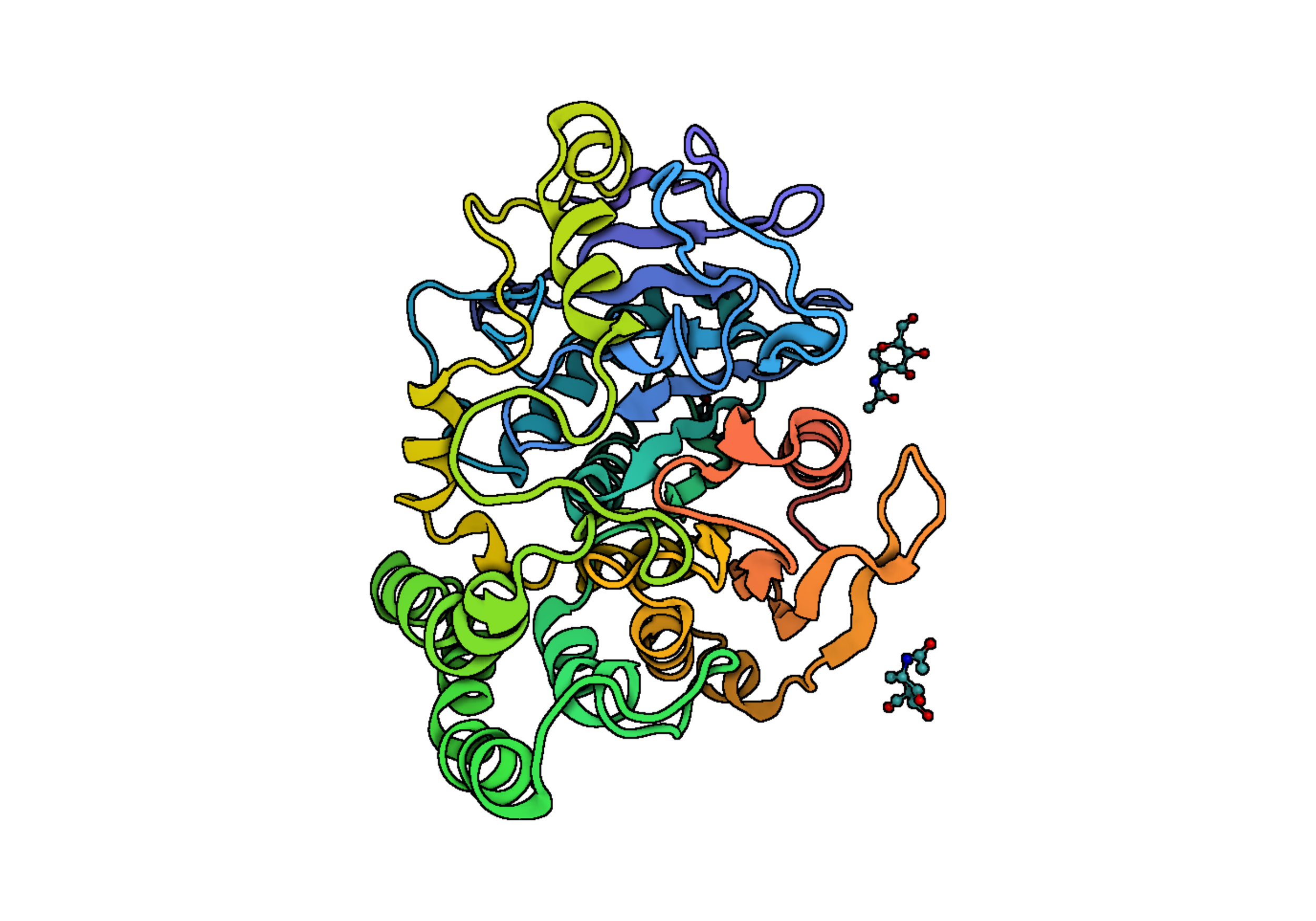 Carboxypeptidase Y