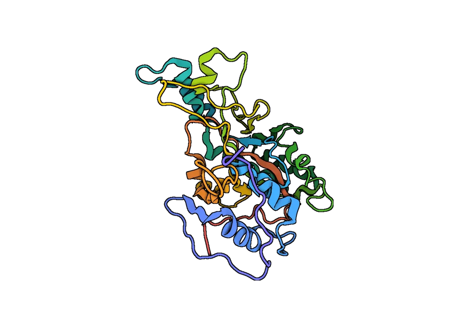 Microbial transglutaminase