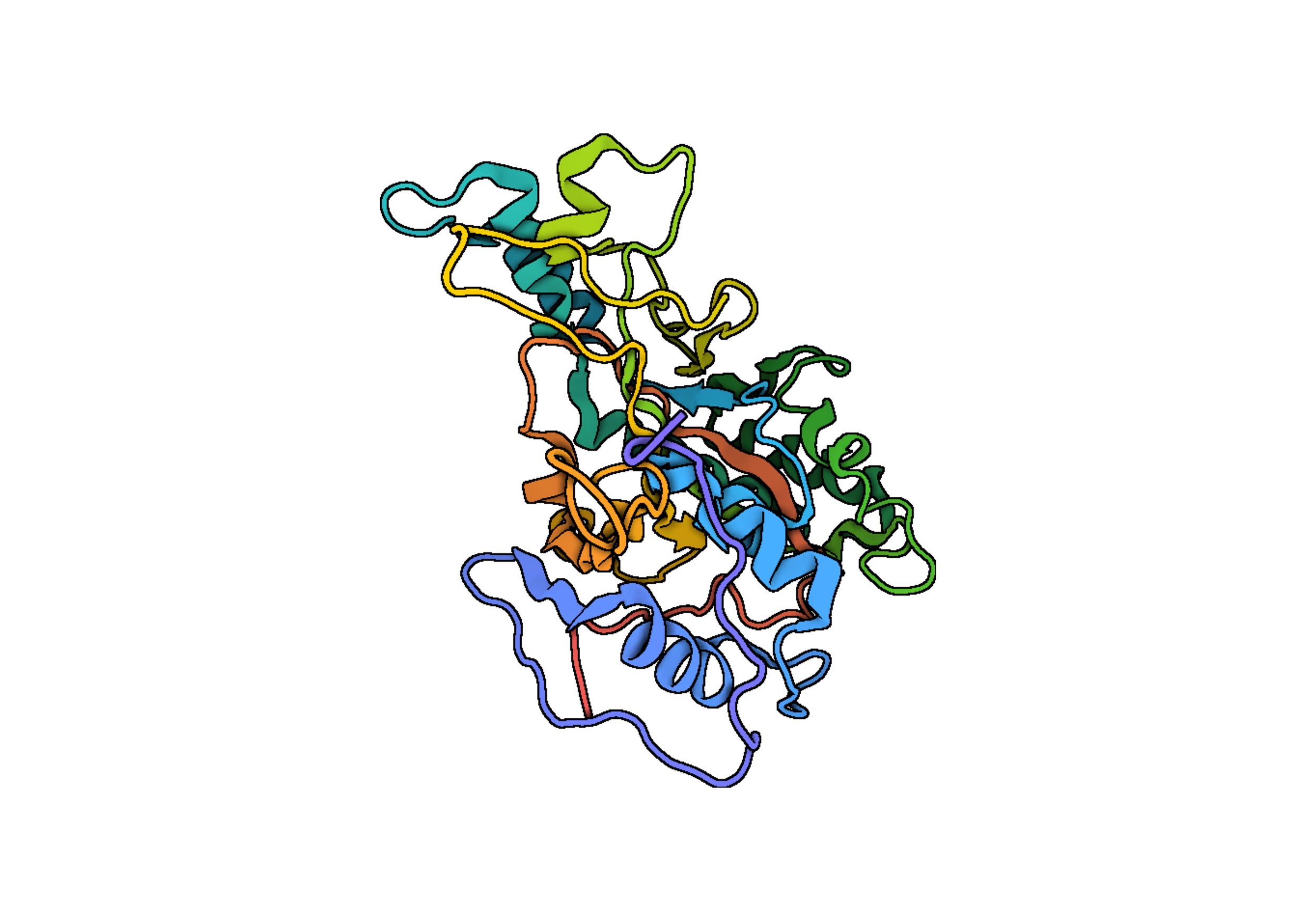 Microbial Transglutaminase
