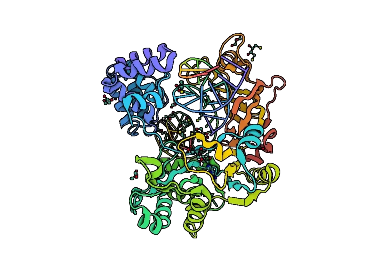 T4 DNA Ligase