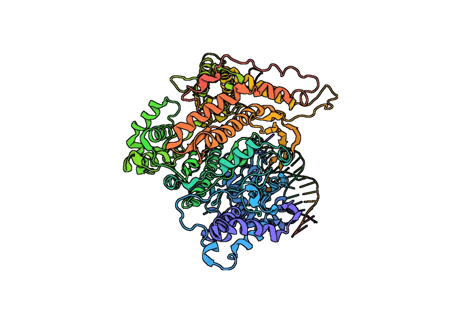 T7 RNA polymerase