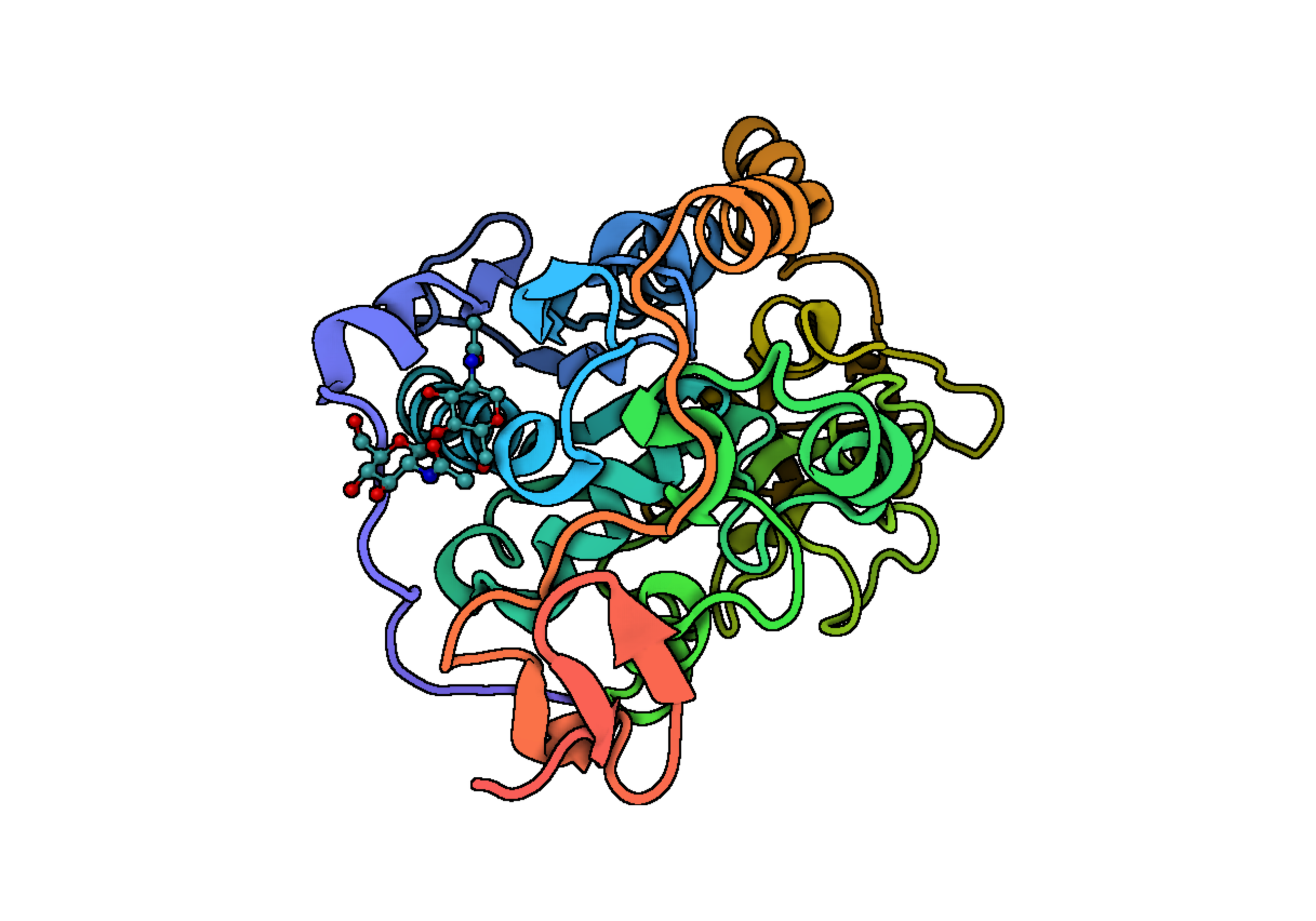 CalB Lipase