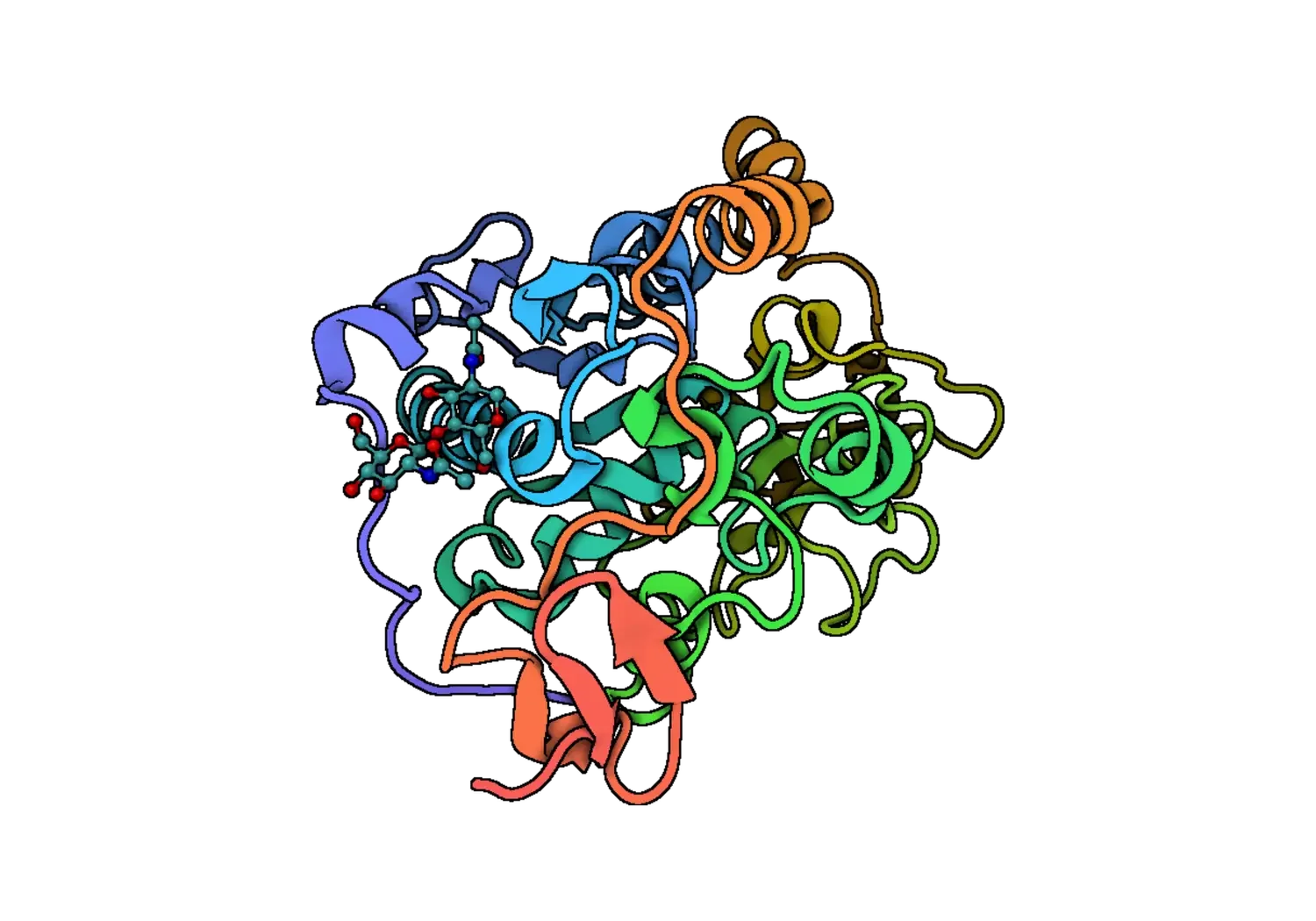 1TCA 2.webp