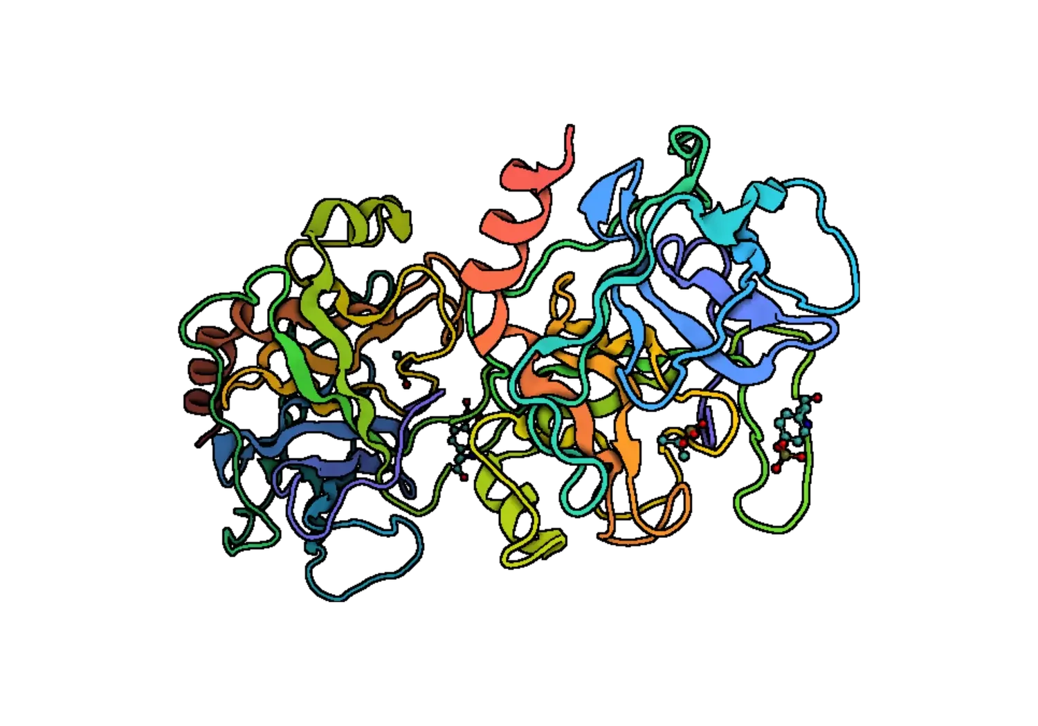 1TRN 2.webp