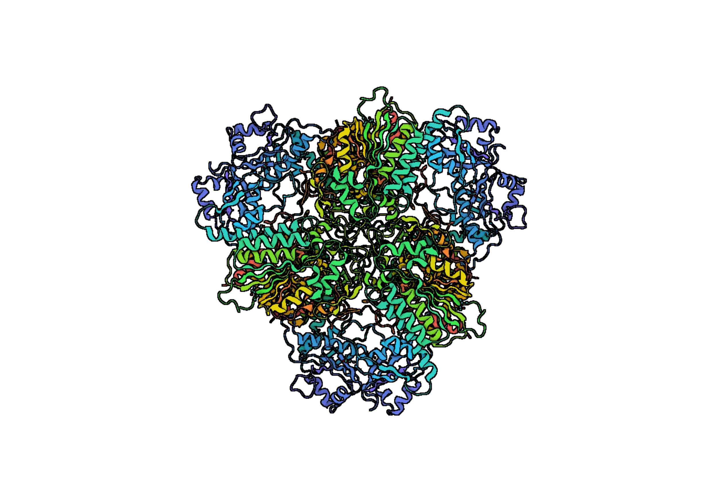 Leucine Aminopeptidase