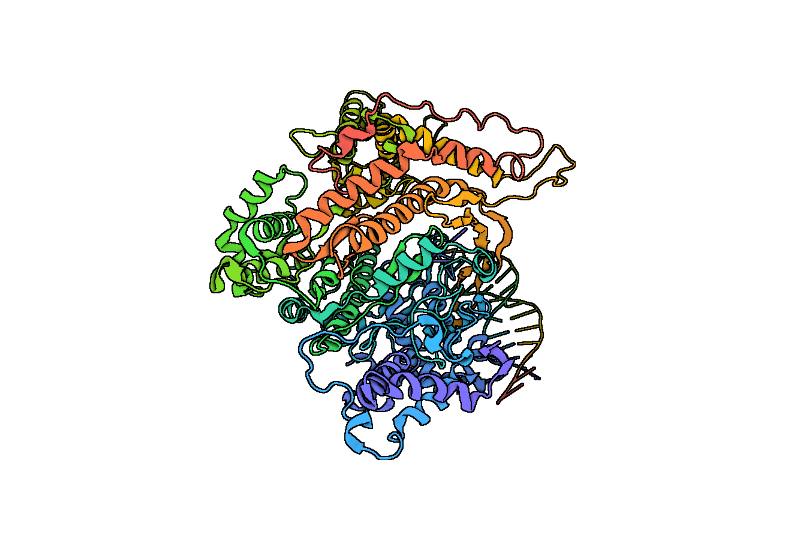 T7 RNA polymerase
