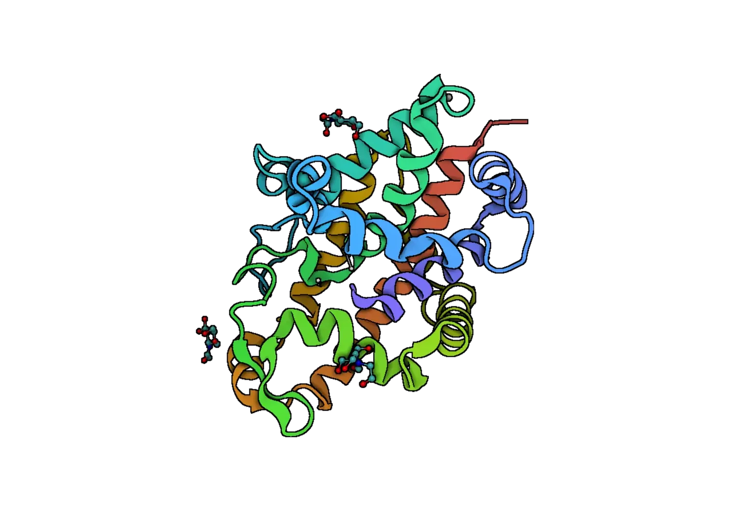 DNA/RNA nucleases