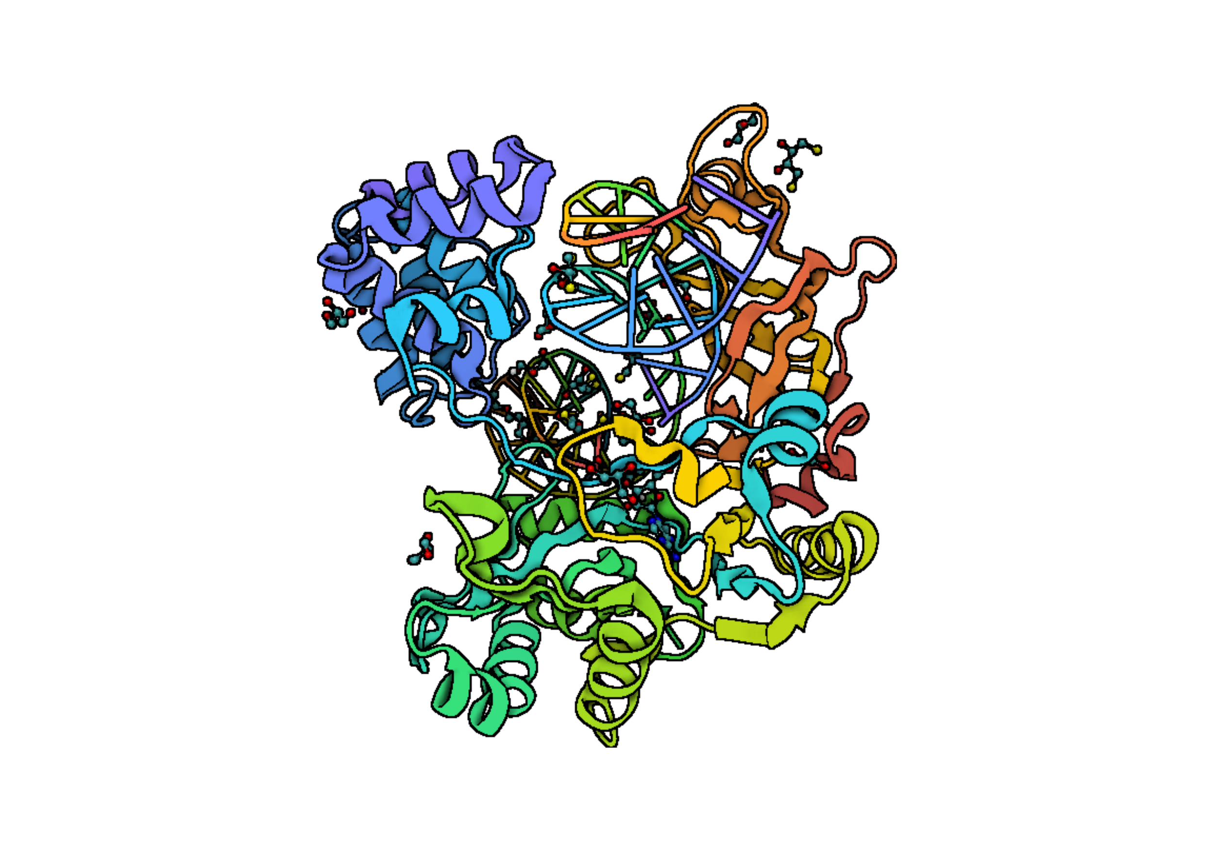 T4 DNA Ligase
