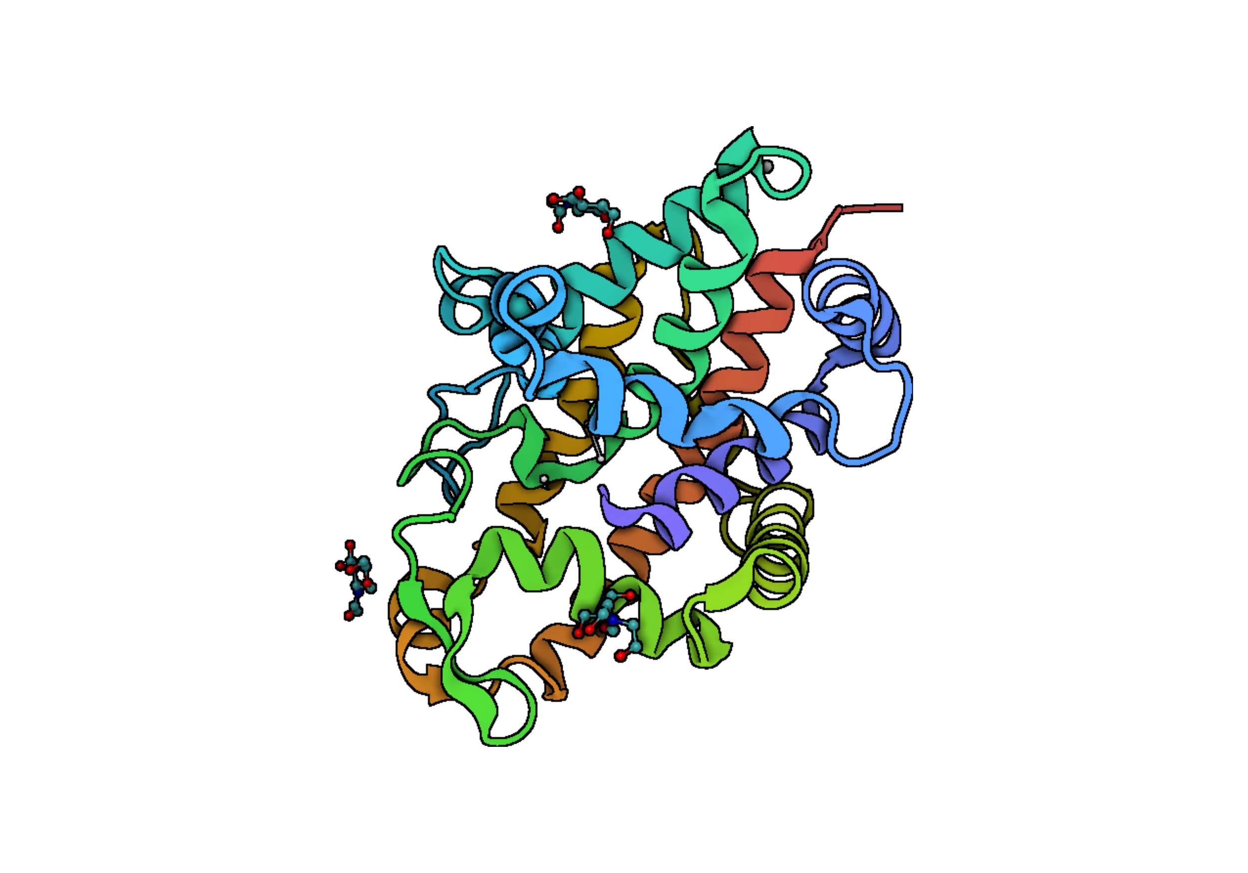 S1 Nuclease