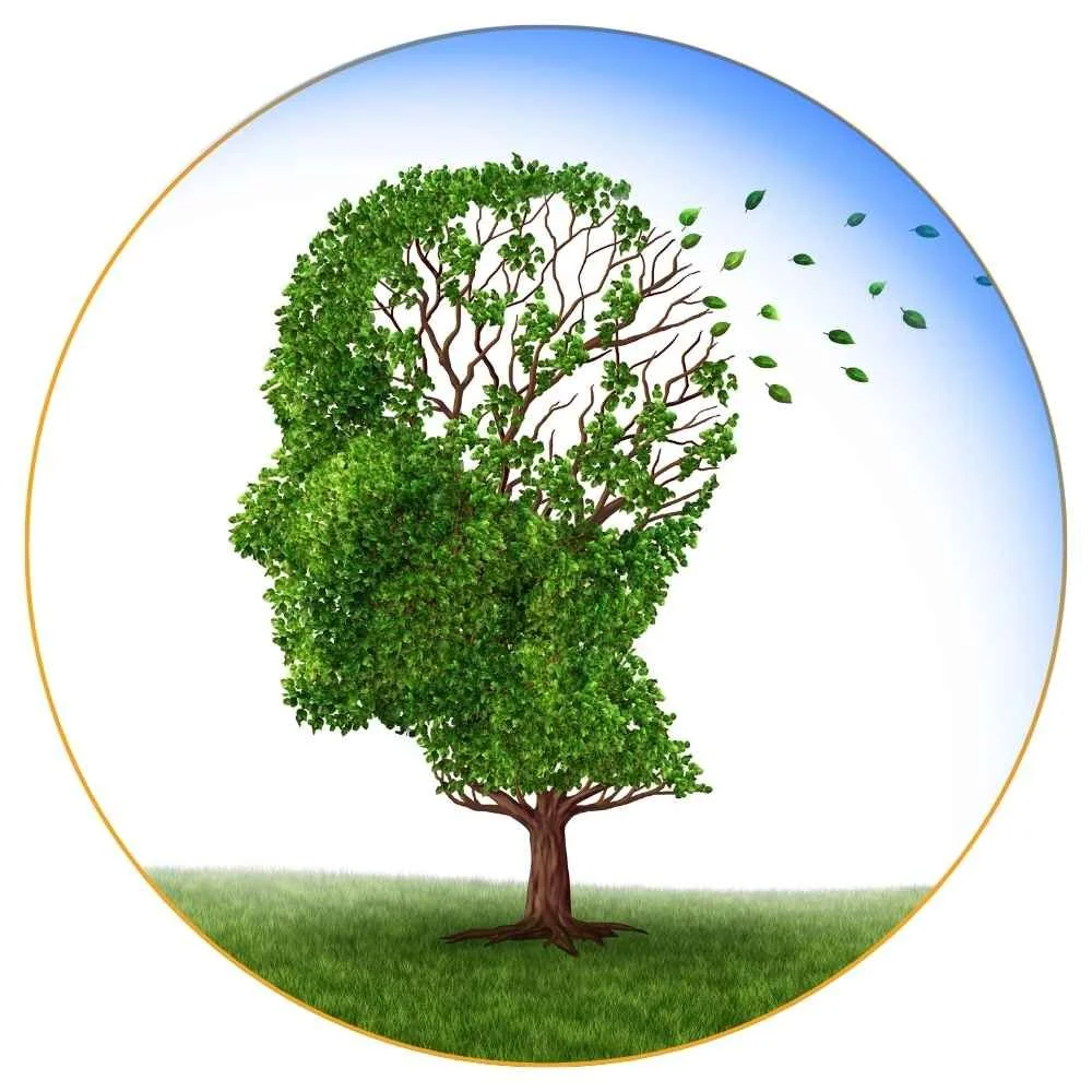 dementia care, dementia care Sydney, dementia aged care, dementia care in aged care, elderly, support, memory loss, home care, aged care services