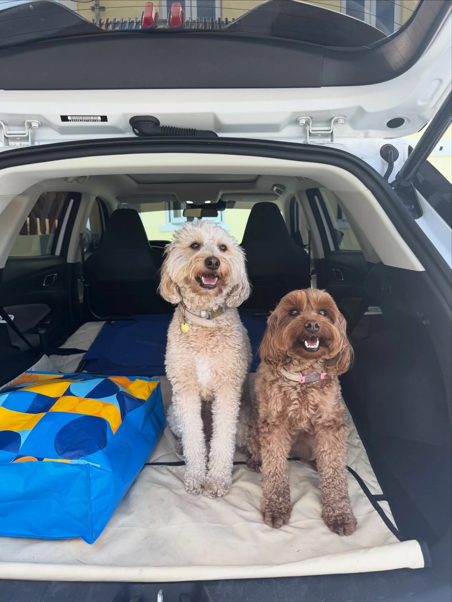 Welcome back, Lady Duchess!