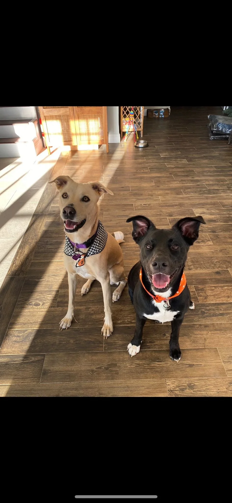 WhatsApp Image 2023-05-09 at 10.19.07 AM.jpeg