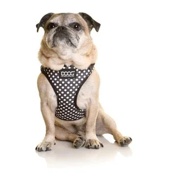 Pongo Harness (S) $30.80 | (M) $33.00 | (L) $38.50 | (XL) $44.00