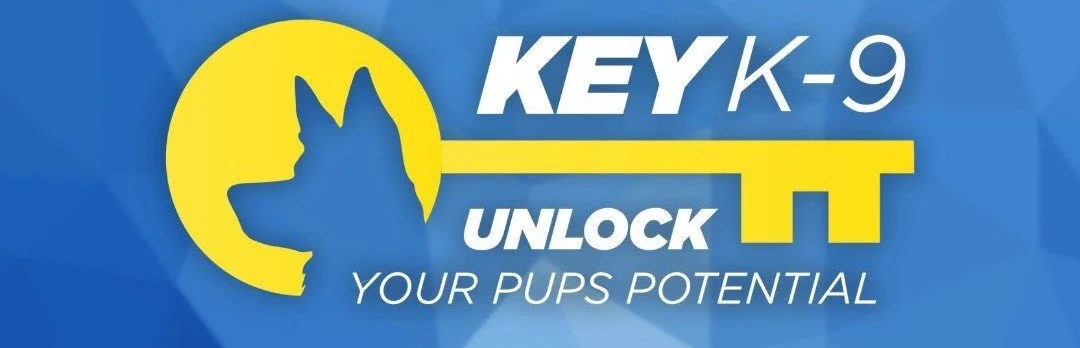 Key K9